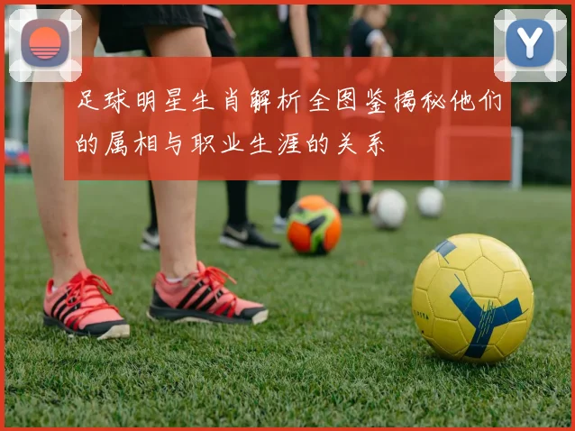 足球明星生肖解析全图鉴揭秘他们的属相与职业生涯的关系